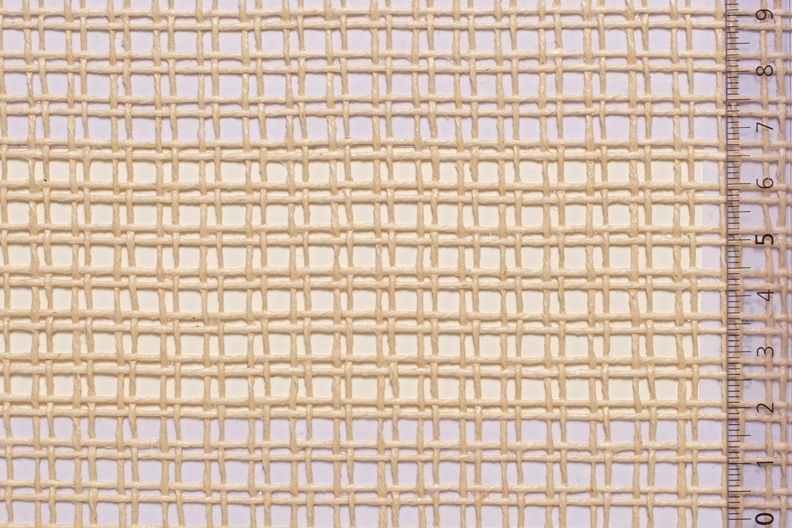 01CANBAG13ECRxxxCOT[CANVAS 13 For BAGS](ECRU)F